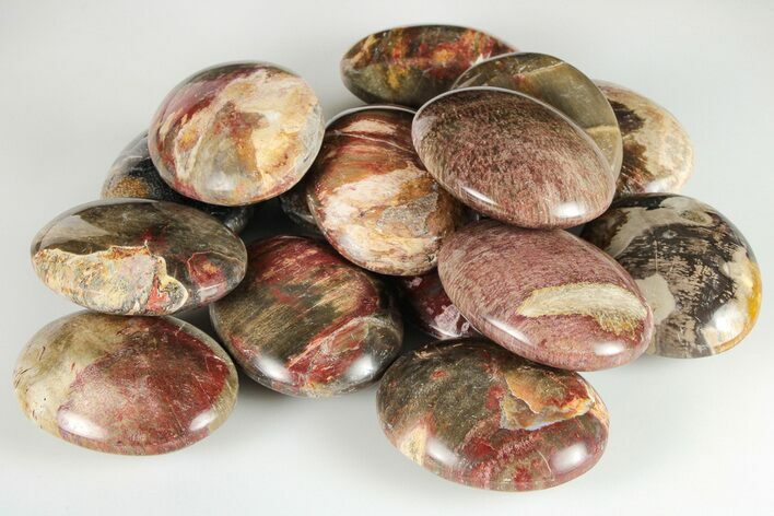 1.8" Petrified Wood Pocket Stones  - Photo 1